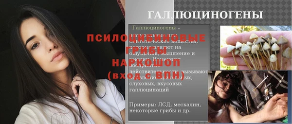ПСИЛОЦИБИНОВЫЕ ГРИБЫ Алексин