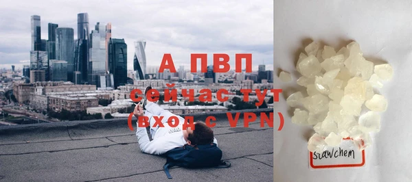 прущие крисы Абинск
